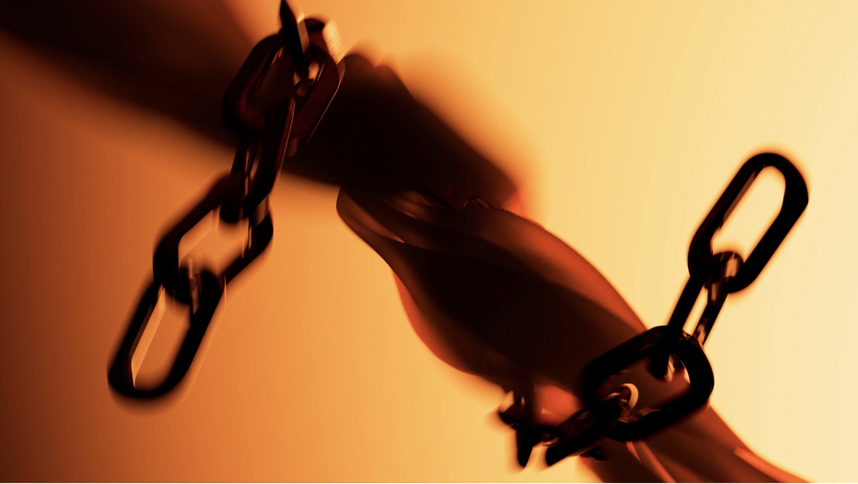 Louis Vuitton Coussin 4